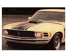 1970 Boss 302 Mustang Entire Hood Paint Stencil Kit